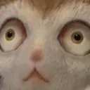 whyareweherejusttosuffer whyareweherejusttosuffer
