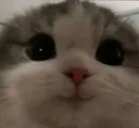 emoji_84