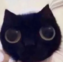 cat4 Discord emoji