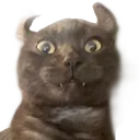 MeevinHappy
