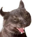 MeevinScream