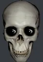 skully