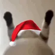 emoji_dancecat