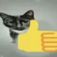 N_C_like