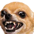 alphaw6Angry