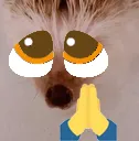 pleading_facehedgehog