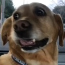 concernedhappy Discord emoji