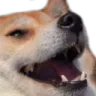 Dogekek dogekek Discord Emoji