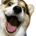 dogpog dogpog