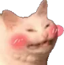 Cat_blush Cat_blush