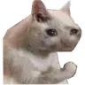 catfist Discord Emoji