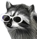 raccoonglasses