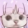 kyoukacat