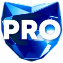 pro