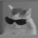 coolcat Discord Emoji