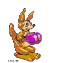 kangaroobox