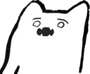 Ji_Cat_WTH