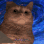 pathetic Discord emoji