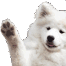 hello Discord emoji