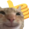 thumbsupcat thumbsupcat