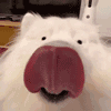 dog_lick Discord emoji