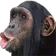 5832monke