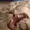 OhNyo