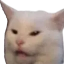 3CatMeme 3CatMeme