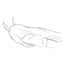 dyingazii