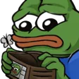 Pepe_OutofMoney