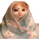 Sadcat Discord Emoji