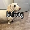 emoji_66