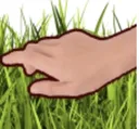 touchgrass touchgrass