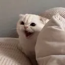 1214