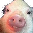 SQUA_anim_basurman
