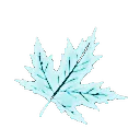 pnk_buzmavisi