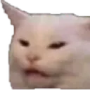 CatHuh