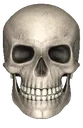 skull3