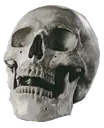 skull2