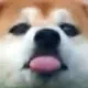 mlm