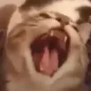 Screeamaa Screeamaa