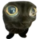 jinx