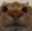 Catbanana