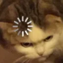 BufferingLoadingCat