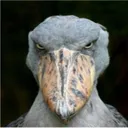 m_comocuando