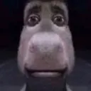 donkey