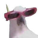 sunglassman
