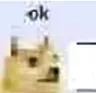 dogeok
