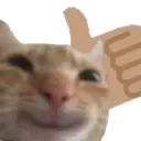 thumbup