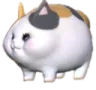 fatecate fatecate